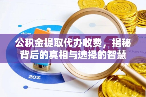 冷水江公积金提取代办收费，揭秘背后的真相与选择的智慧
