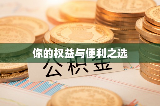 冷水江你的权益与便利之选
