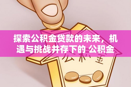 冷水江探索公积金贷款的未来，机遇与挑战并存下的 公积金贷款风险防控