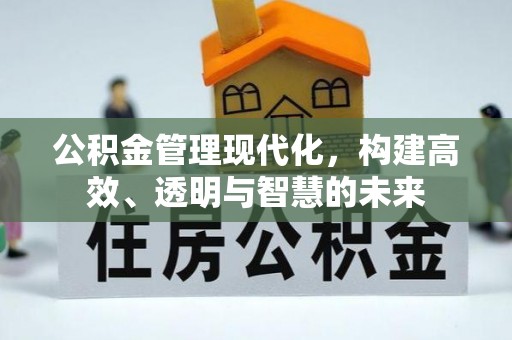 冷水江公积金管理现代化，构建高效、透明与智慧的未来