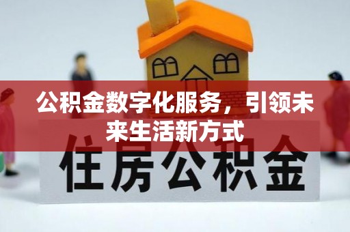 冷水江公积金数字化服务，引领未来生活新方式