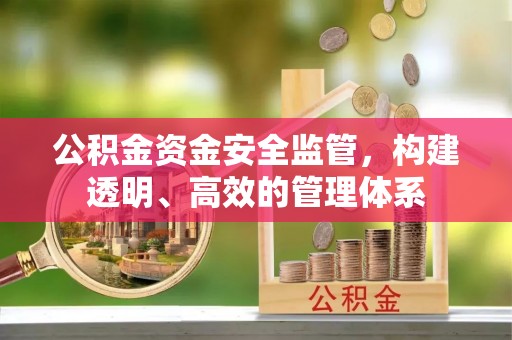冷水江公积金资金安全监管，构建透明、高效的管理体系