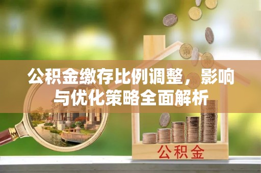 冷水江公积金缴存比例调整，影响与优化策略全面解析
