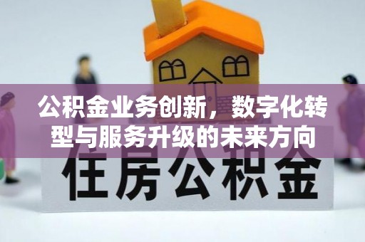 冷水江公积金业务创新，数字化转型与服务升级的未来方向