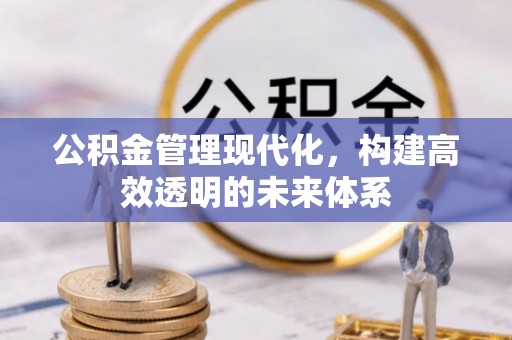 冷水江公积金管理现代化，构建高效透明的未来体系