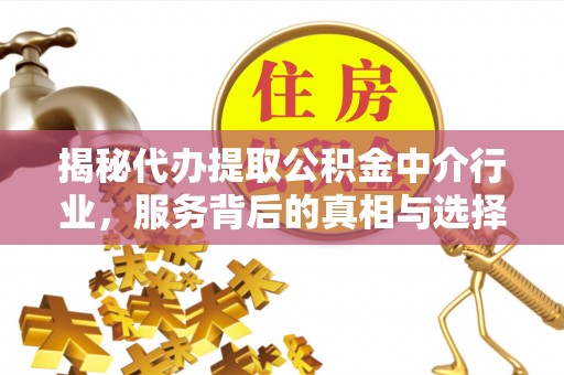 冷水江揭秘代办提取公积金中介行业，服务背后的真相与选择指南