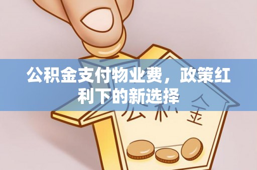 冷水江公积金支付物业费，政策红利下的新选择