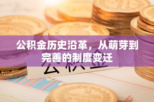 冷水江公积金历史沿革，从萌芽到完善的制度变迁
