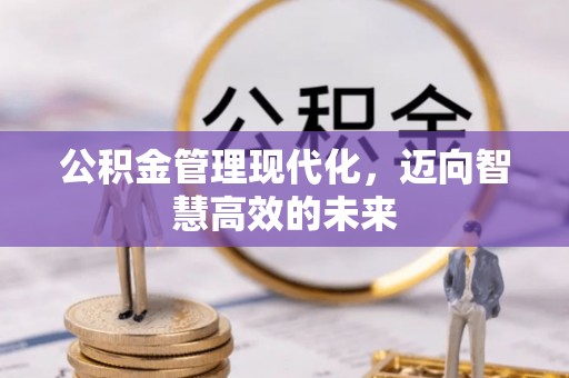 冷水江公积金管理现代化，迈向智慧高效的未来