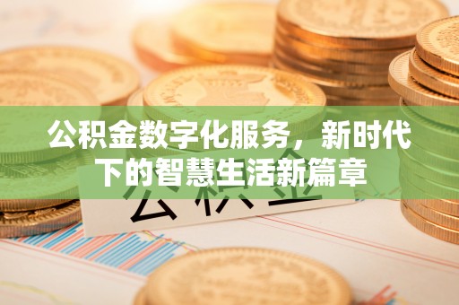 冷水江公积金数字化服务，新时代下的智慧生活新篇章
