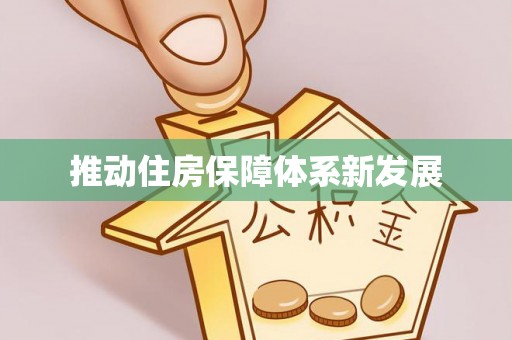冷水江推动住房保障体系新发展
