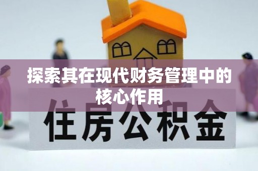 冷水江探索其在现代财务管理中的核心作用