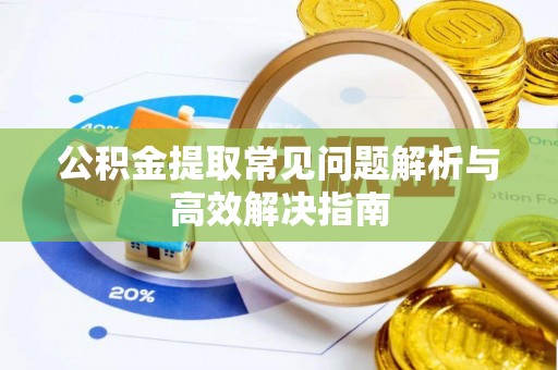 冷水江公积金提取常见问题解析与高效解决指南