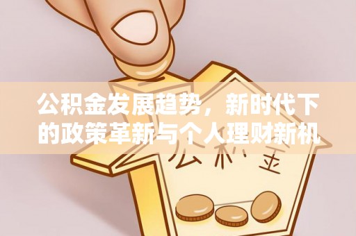 冷水江公积金发展趋势，新时代下的政策革新与个人理财新机遇