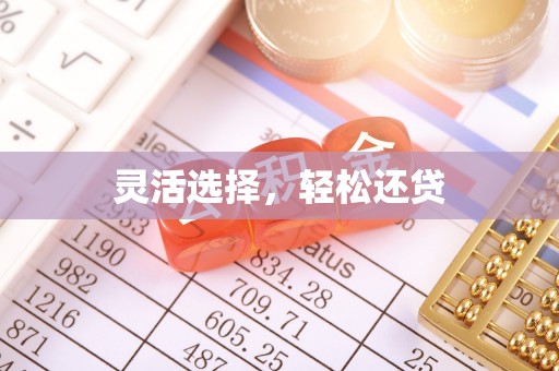 冷水江灵活选择，轻松还贷