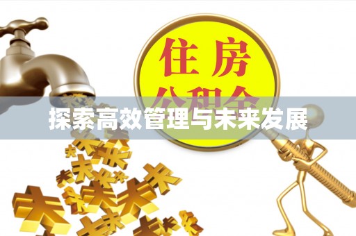 冷水江探索高效管理与未来发展