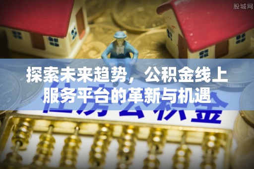 冷水江探索未来趋势，公积金线上服务平台的革新与机遇