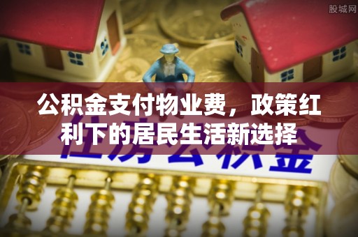 冷水江公积金支付物业费，政策红利下的居民生活新选择