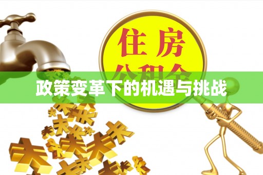 冷水江政策变革下的机遇与挑战