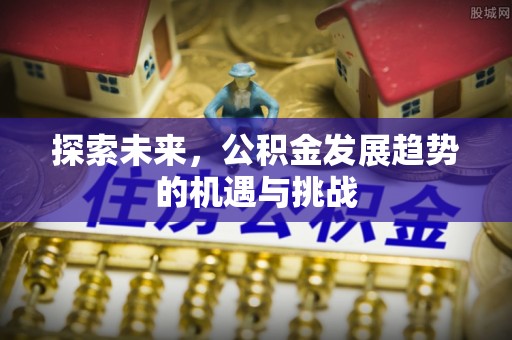 冷水江探索未来，公积金发展趋势的机遇与挑战