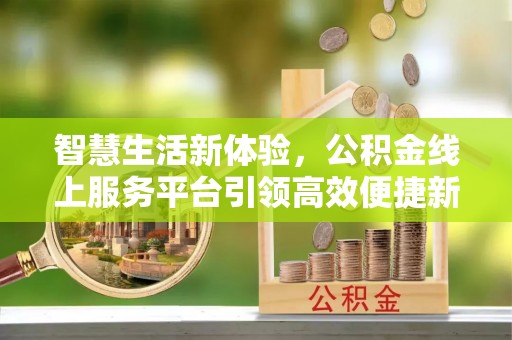 冷水江智慧生活新体验，公积金线上服务平台引领高效便捷新时代