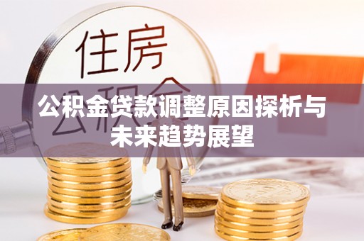 冷水江公积金贷款调整原因探析与未来趋势展望