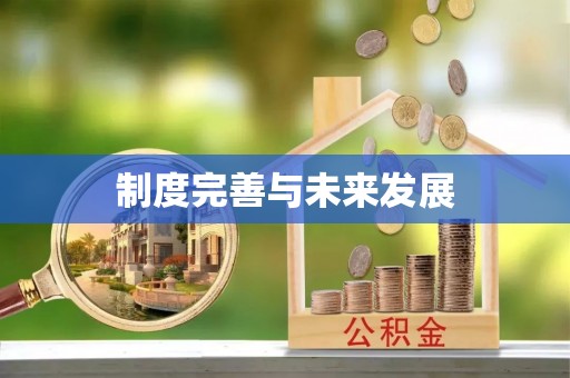 冷水江制度完善与未来发展