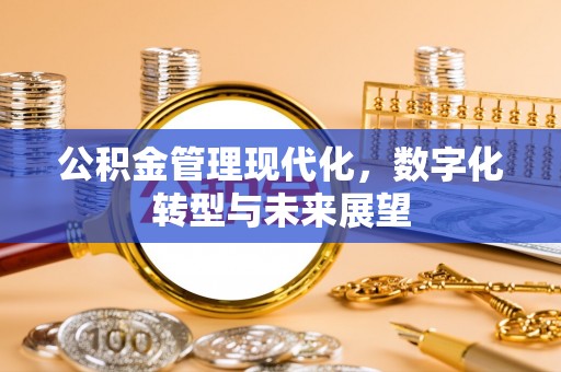 冷水江公积金管理现代化，数字化转型与未来展望