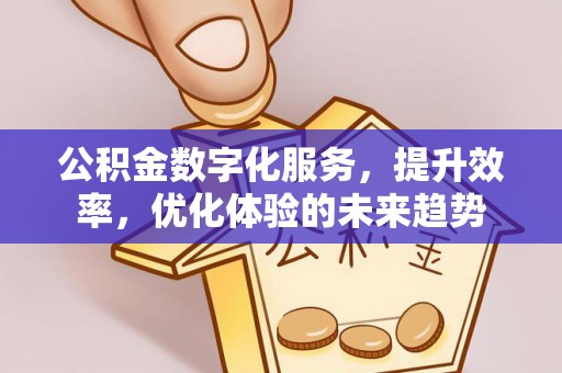 冷水江公积金数字化服务，提升效率，优化体验的未来趋势