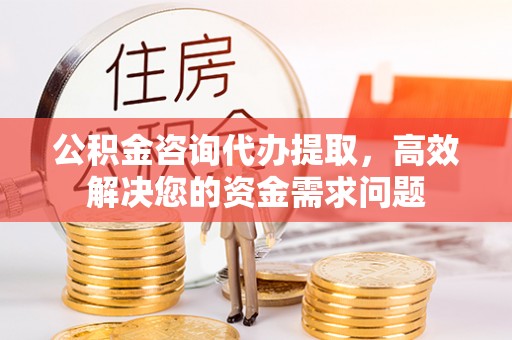 冷水江公积金咨询代办提取，高效解决您的资金需求问题