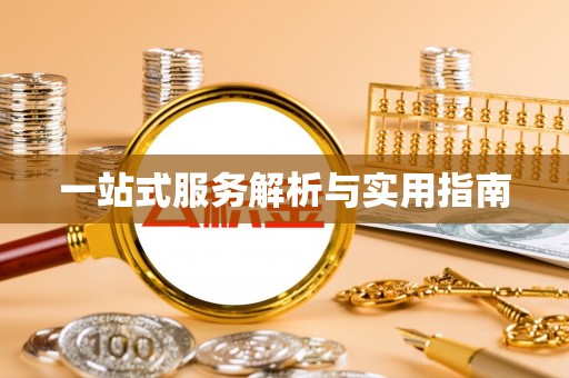 冷水江一站式服务解析与实用指南