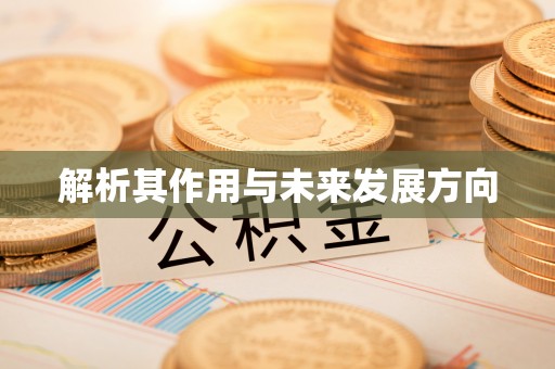 冷水江解析其作用与未来发展方向