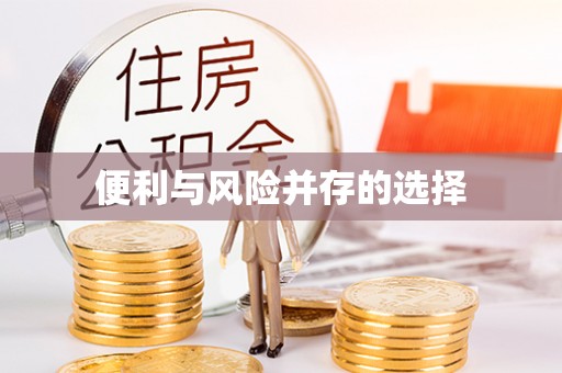 冷水江便利与风险并存的选择