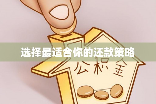冷水江选择最适合你的还款策略