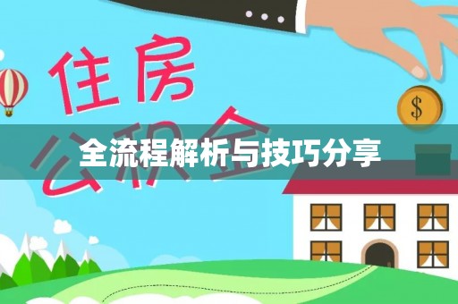 冷水江全流程解析与技巧分享