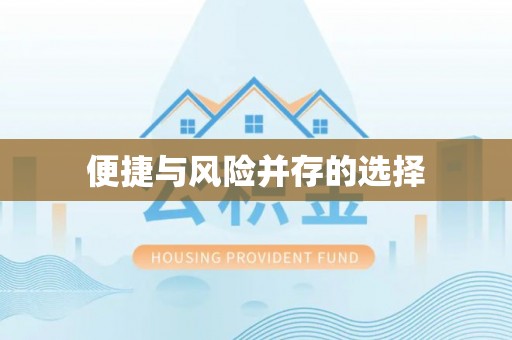 冷水江便捷与风险并存的选择